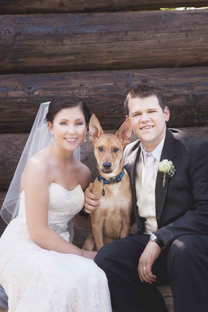Pets in Pro Pics