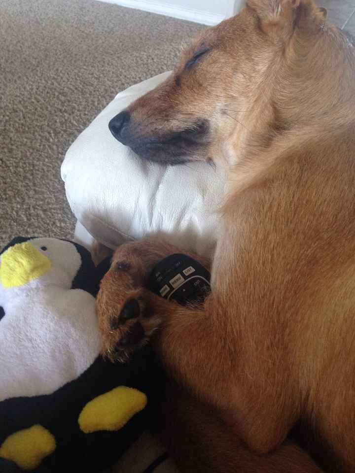 NWR Happy Fursday!!!