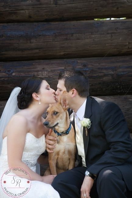 Pro pics are in! (pic heavy)