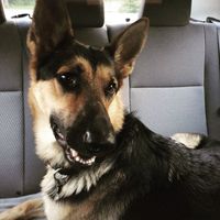 NWR Daily Baby Ollie Report!