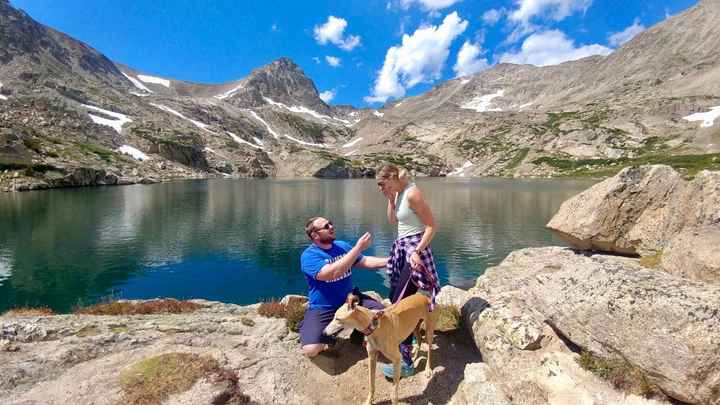 The proposal!