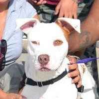 NWR- show me your pet!