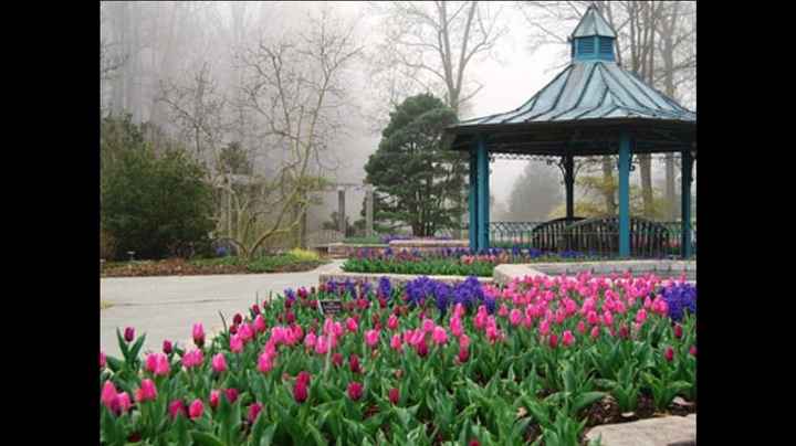 Engagement shoot locations in MD or DC