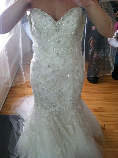 I rang the Bell and Said yes to the dress!! Lets see some of your dresses!!
