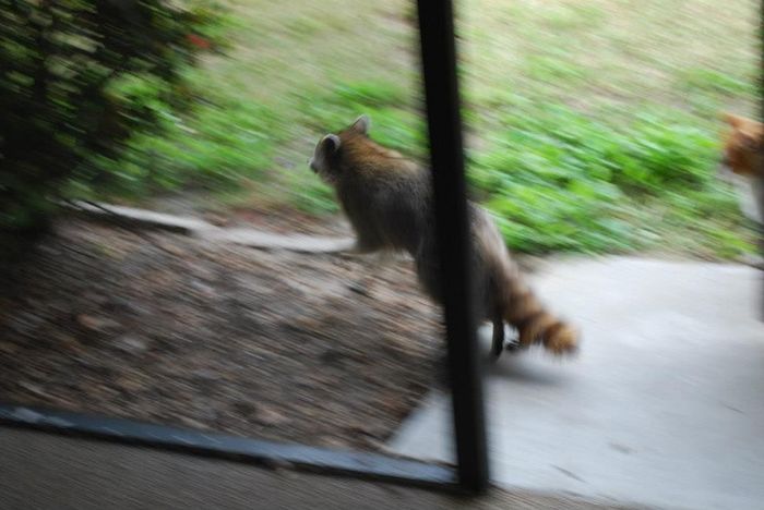 NWR: Share your funny pet stories!