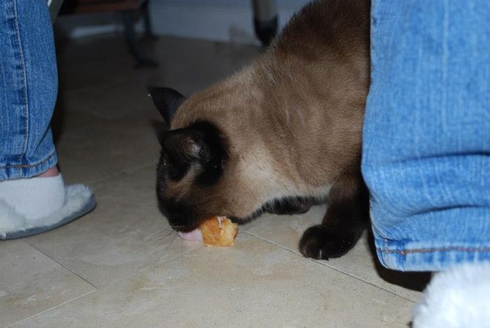 NWR: Share your funny pet stories!