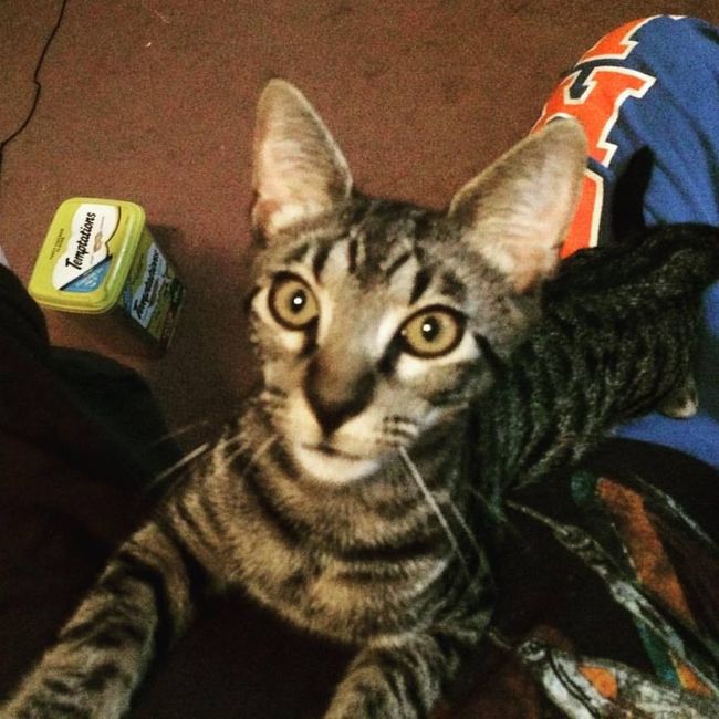 NWR: Show off your furbabies!