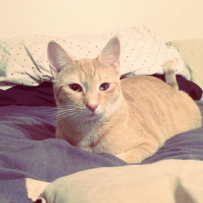 NWR: Show off your furbabies!