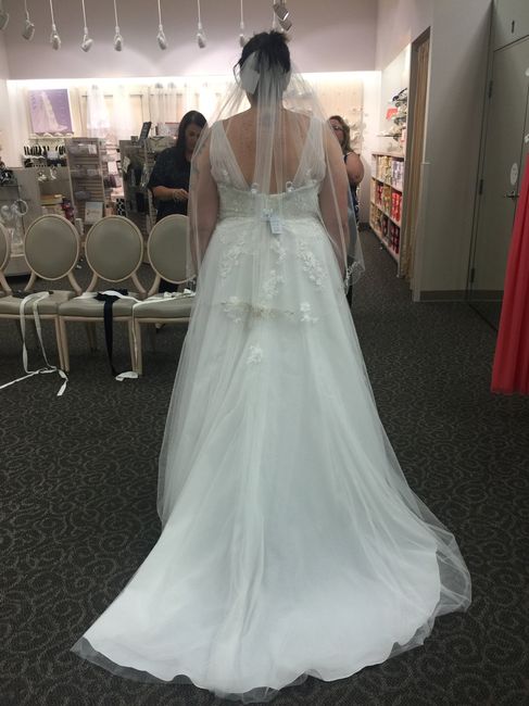 I got my dress! I got my dress!