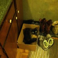 NWR...my fur baby passed and my FH was AMAZINGLY there for me.