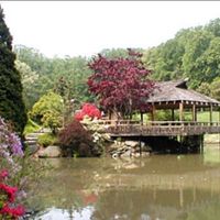 Engagement shoot locations in MD or DC