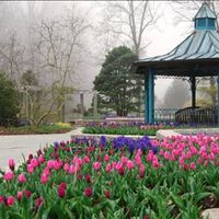 Engagement shoot locations in MD or DC