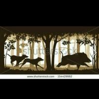 Groom's Wedding Ring Cost