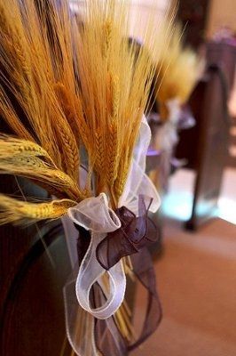 Wheat incoporated...