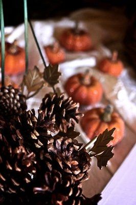 I need some help.. please :)