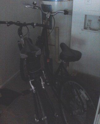 NWR: Bicycle Ladies