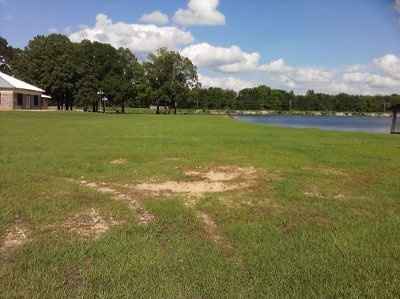 Found a venue that suits us finally