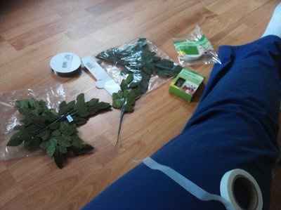 WR: First attempt at making a corsage (Pic heavy)