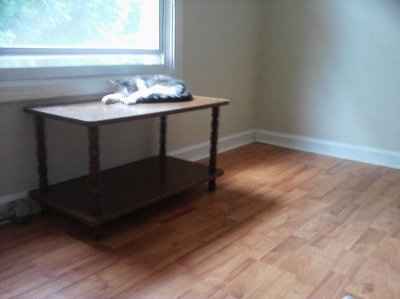 WR: First attempt at making a corsage (Pic heavy)