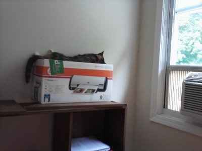 WR: First attempt at making a corsage (Pic heavy)