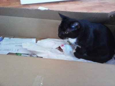 WR: First attempt at making a corsage (Pic heavy)