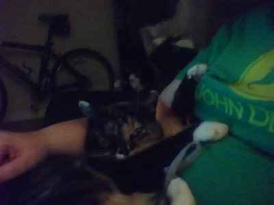 Show off your furbabies!