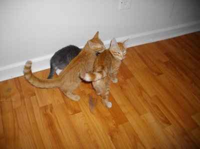 Look at the babies I saved from death today!