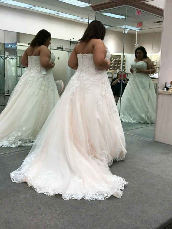 i said Yes to this dress - 1