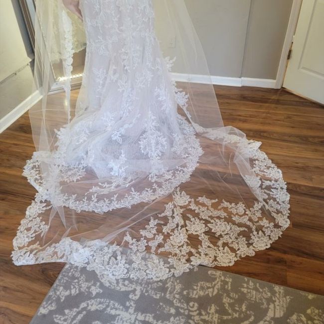 Finally Picked Up My Dress!! 3