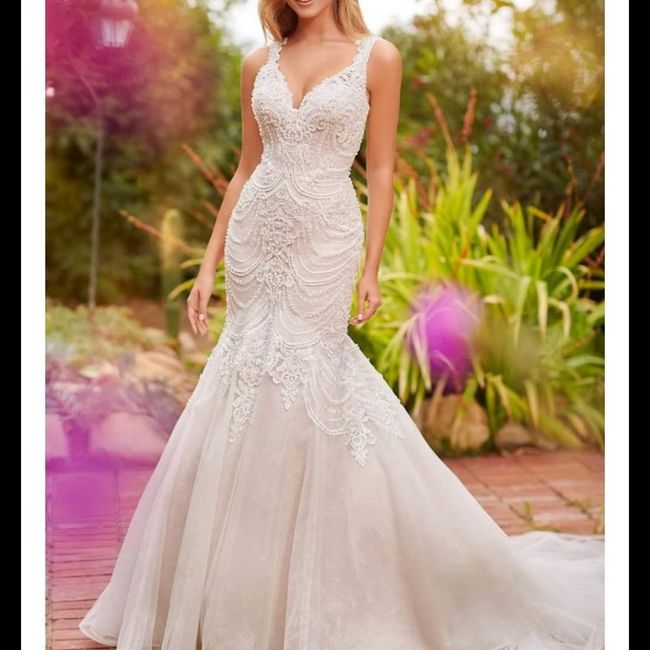 2021 & 2022 Brides to be... have you said yes to the dress?!!! 12