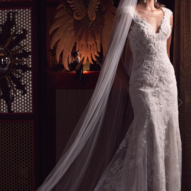 2021 & 2022 Brides to be... have you said yes to the dress?!!! - 4
