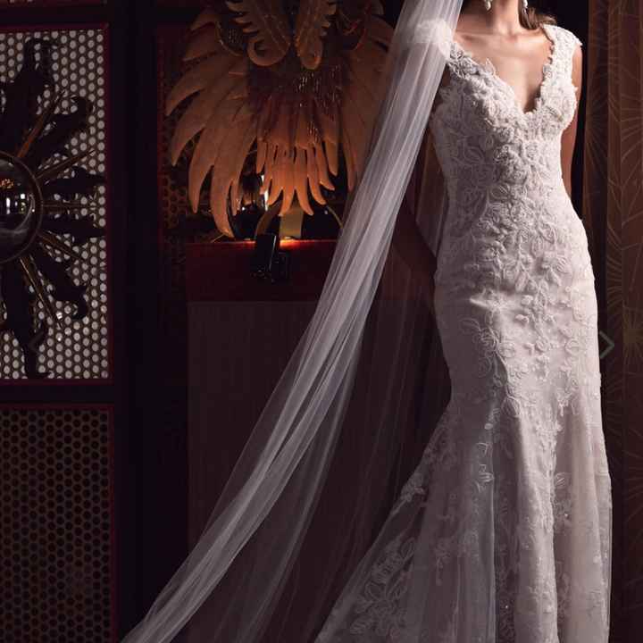 2021 & 2022 Brides to be... have you said yes to the dress?!!! - 4