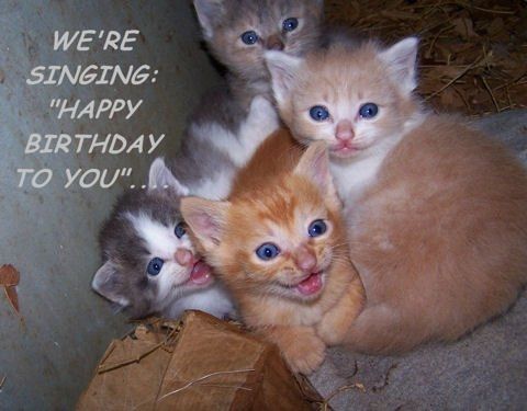 HAPPY BIRTHDAY MRS S!!!!!