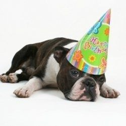 Omigoodness MrsO - IT'S YOUR BIRTHDAY TOO!