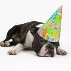 Omigoodness MrsO - IT'S YOUR BIRTHDAY TOO!