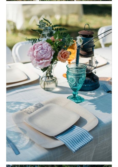 Best biodegradable palm leaf plates? 2