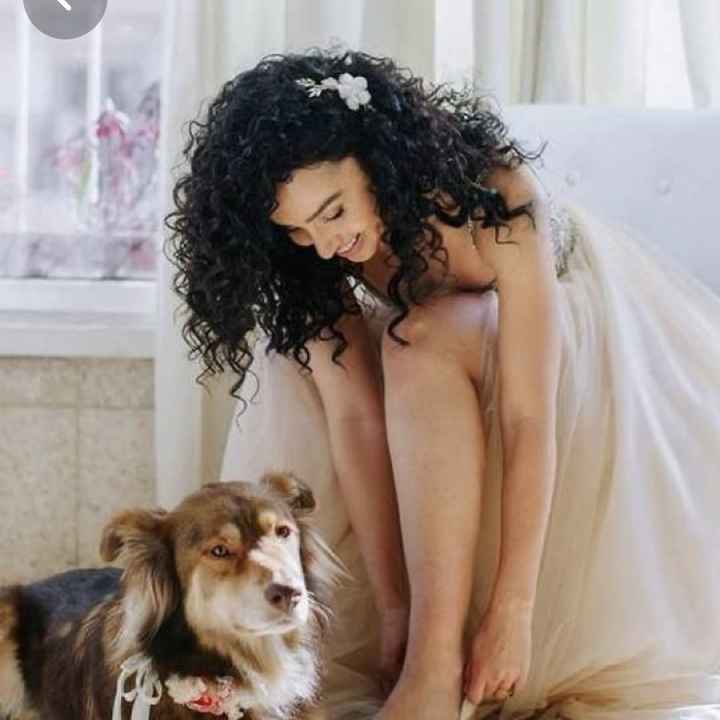 Calling my Curly Hair Brides! Hairstyle ideas?? Help! - 2