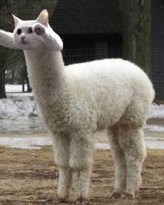 The UNBoring Thread- Completely NWR!