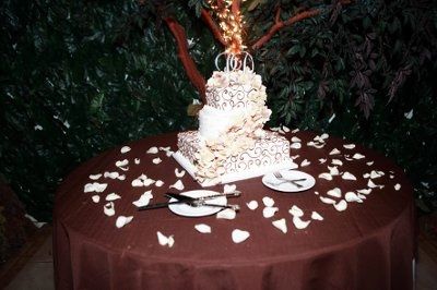 Pro Pics of Our BIG day are in!!!! Pic Heavy