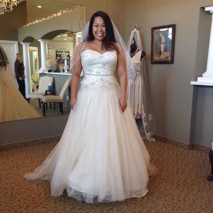 I said Yes to the dress....I think...