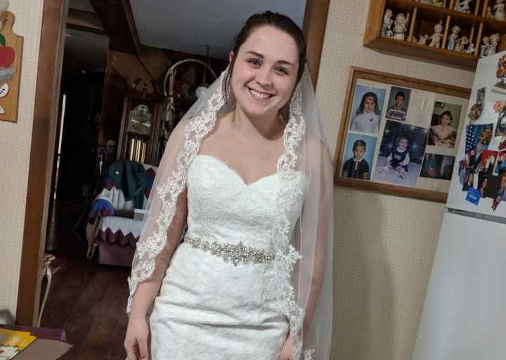 Dying your wedding veil - 1