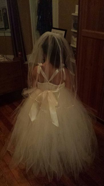 Got the FG dress in! (PICS)