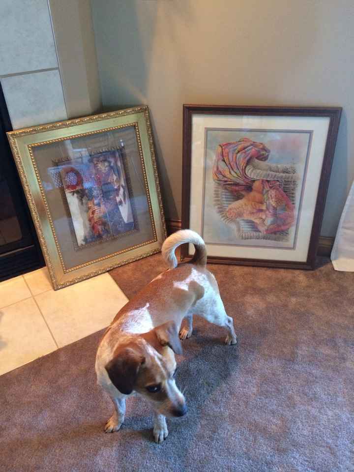 Contest time! Doggy DNA test results!*