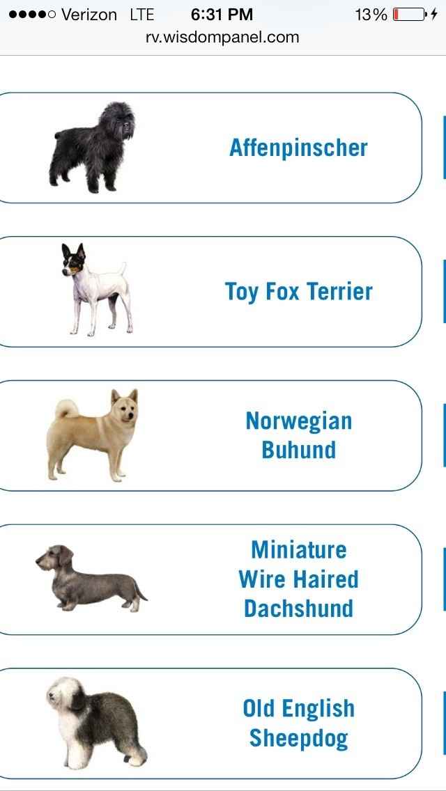 Contest time! Doggy DNA test results!*