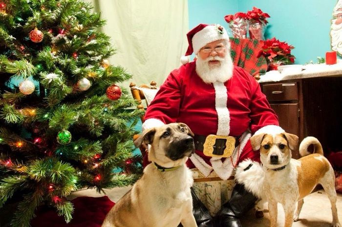 NWR.......FUR BABIES!!!!