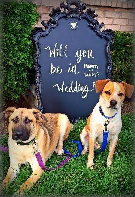 Proposing to your bridesmaids!