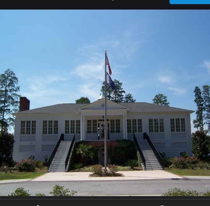 Flower girl/ ring bearer necessary?? - 1