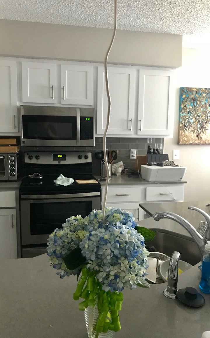 Hydrangea branch test