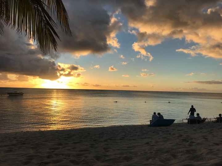 Honeymoon Dreaming - 3