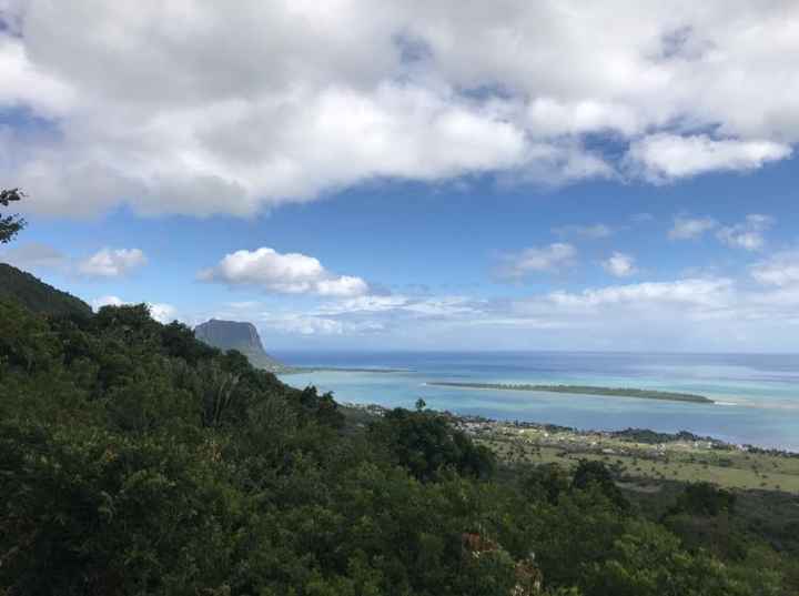 Honeymoon Dreaming - 4